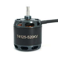 T4125 brushless motor - view 3