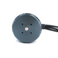 T4125 brushless motor - view 5